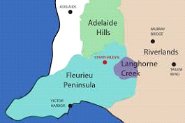 Elderly person receiving care